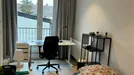 Room for rent, Leuven, Vlaams-Brabant, Tweekleinewegenstraat, Belgium