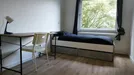 Room for rent, Capelle aan den IJssel, South Holland, Merelhoven