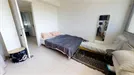 Room for rent, Montpellier, Occitanie, Rue Émile Gaboriau