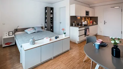 Apartment for rent in Frankfurt (region)