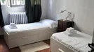 Room for rent, Florence, Toscana, Lungarno Amerigo Vespucci