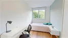 Room for rent, Lyon, Auvergne-Rhône-Alpes, Rue de Saint-Cyr