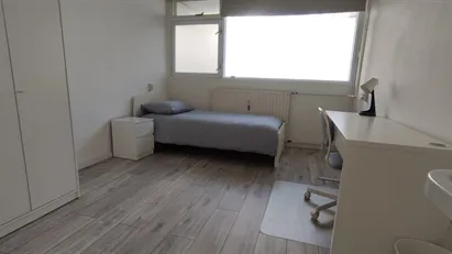 Room for rent in Capelle aan den IJssel, South Holland Room for rent in Capelle aan den IJssel, South Holland