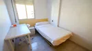 Room for rent, Valencia Algirós, Valencia (region), Calle Lorenzo Palmireno