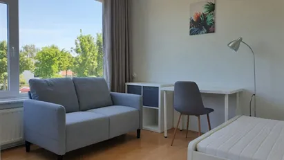 Room for rent in Rotterdam