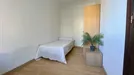 Room for rent, Alfarería, Andalucía, Avenida Alvar Núñez