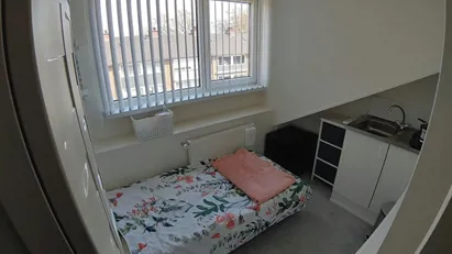 Room for rent in Rotterdam