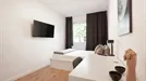 Room for rent, Essen, Nordrhein-Westfalen, Hammacherstraße