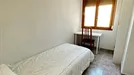 Room for rent, Alicante/Alacant, Comunidad Valenciana, Avenida Alcalde Lorenzo Carbonell