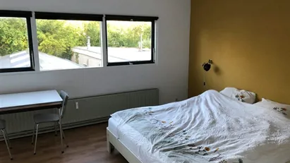 Room for rent in Utrechtse Heuvelrug, Province of Utrecht