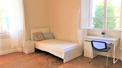 Room for rent in Florence, Toscana