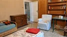 Room for rent, Florence, Toscana, Via Cesare Guasti