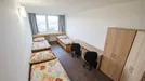 Room for rent, Prague, Kutilova