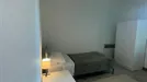 Room for rent, Bologna, Emilia-Romagna, Viale Giuseppe Barilli Quirico Filopanti