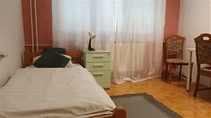 Room for rent in Besnica, Osrednjeslovenska