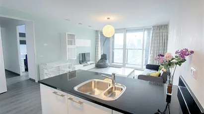 Apartment for rent in Rotterdam