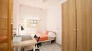 Room for rent, Badalona, Cataluña, Carrer Sicília