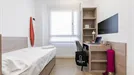 Room for rent, Madrid Fuencarral-El Pardo, Madrid, Calle de Sinesio Delgado