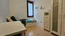 Room for rent, Vicenza, Veneto, Via Francesco Baracca