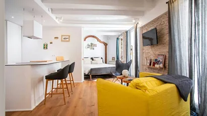 Apartment for rent in Barcelona Ciutat Vella, Barcelona