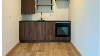 House for rent in Sintra, Lisbon (region) House for rent in Sintra, Lisbon (region)