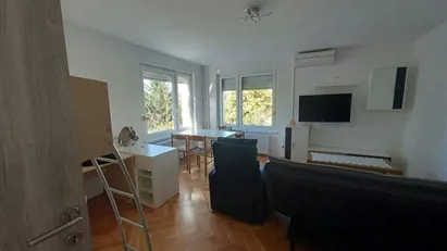 Room for rent in Besnica, Osrednjeslovenska