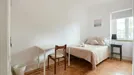 Room for rent, Lisbon (region), Alameda Dom Afonso Henriques