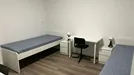 Room for rent, Porto (Distrito), Rua do Alto da Bela