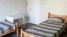 Room for rent, Dublin (county), Blessington Street