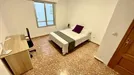 Room for rent, San Vicente del Raspeig/Sant Vicent del Raspeig, Comunidad Valenciana, Calle Labradores