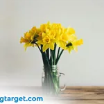 Spring Cleaning Tips for Home Sellers and Renters